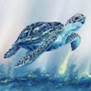 Meet your Posher, Kylie